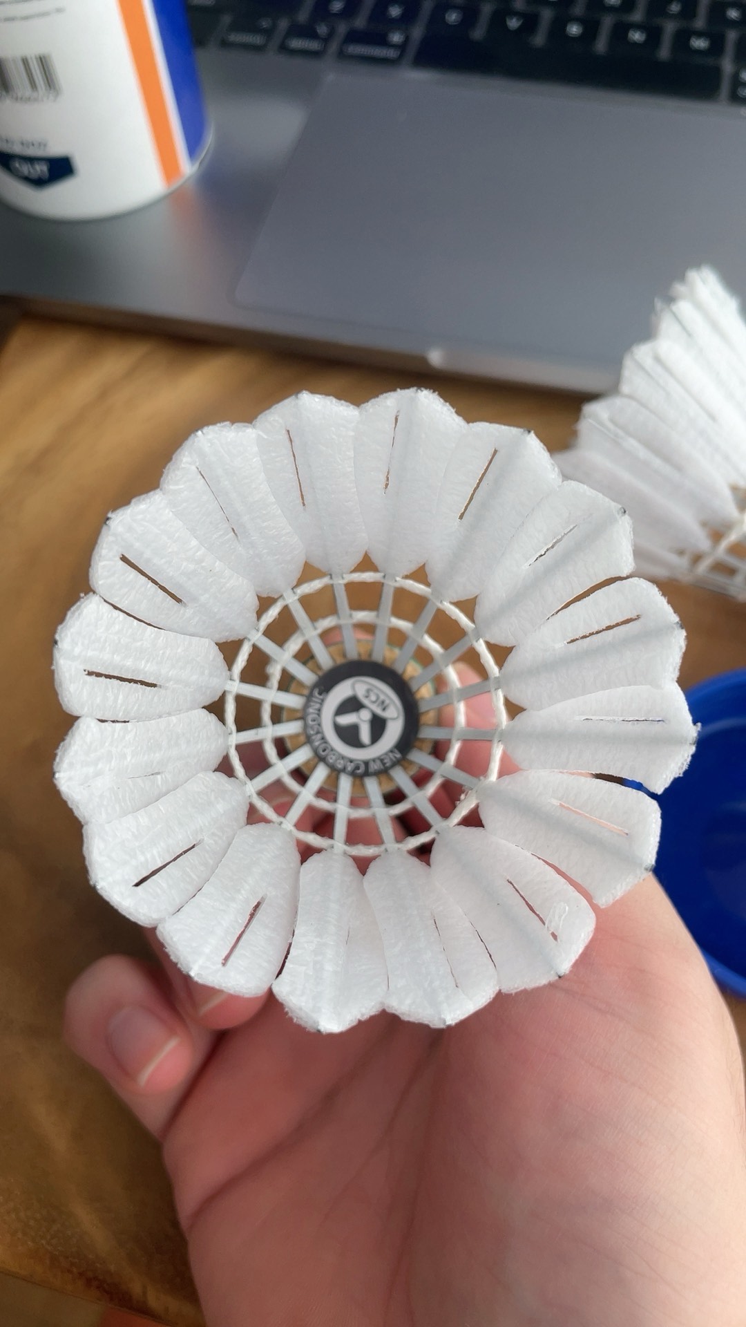 的至關重要 的至關重要