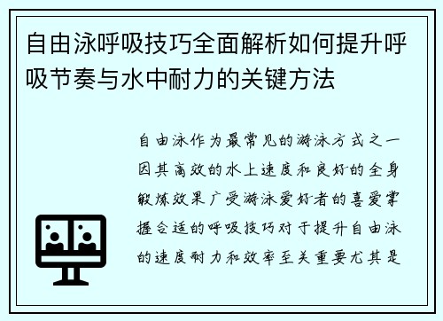 自由泳呼吸技巧全面解析如何提升呼吸节奏与水中耐力的关键方法